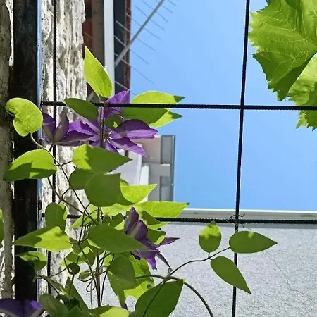 Apartamento Holliday Alida With Jacuzzi